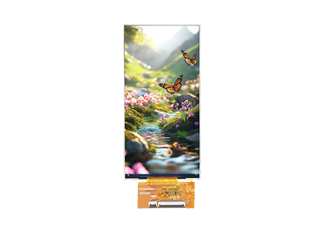 SBT060026A1
