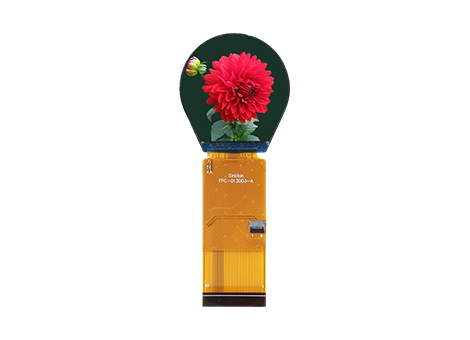 SBT013003A